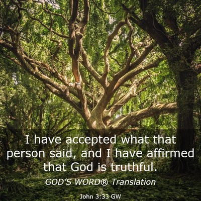 Picture 03 - John 3:33 GW - I have accepted what that person said, and I have - Bible Verse Picture