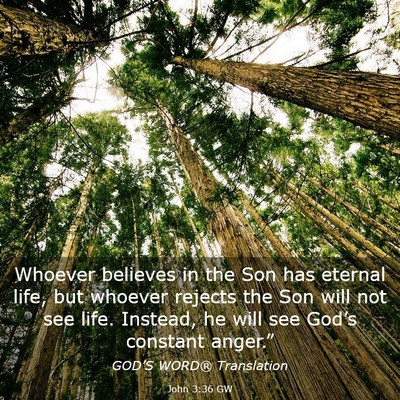 Picture 03 - John 3:36 GW - Whoever believes in the Son has eternal life, but - Bible Verse Picture