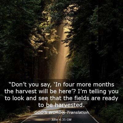 Picture 03 - John 4:35 GW - “Don’t you say, ‘In four more months the - Bible Verse Picture