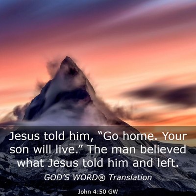 Picture 03 - John 4:50 GW - Jesus told him, “Go home. Your son will - Bible Verse Picture