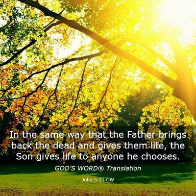 Picture 03 - John 5:21 GW - In the same way that the Father brings back the - Bible Verse Picture