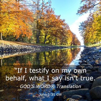 Picture 03 - John 5:31 GW - “If I testify on my own behalf, what I say - Bible Verse Picture
