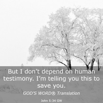 Picture 03 - John 5:34 GW - But I don’t depend on human testimony. I’m - Bible Verse Picture