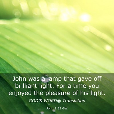 Picture 03 - John 5:35 GW - John was a lamp that gave off brilliant light. - Bible Verse Picture