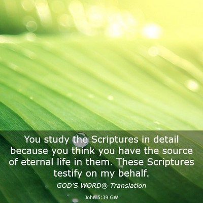 Picture 03 - John 5:39 GW - You study the Scriptures in detail because you - Bible Verse Picture