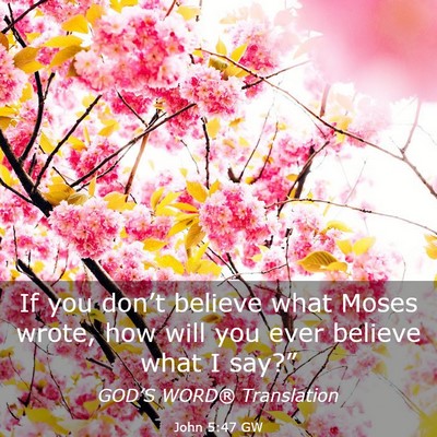 Picture 03 - John 5:47 GW - If you don’t believe what Moses wrote, how will - Bible Verse Picture