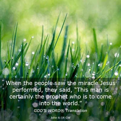 Picture 03 - John 6:14 GW - When the people saw the miracle Jesus performed, - Bible Verse Picture