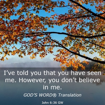 Picture 03 - John 6:36 GW - I’ve told you that you have seen me. However, - Bible Verse Picture