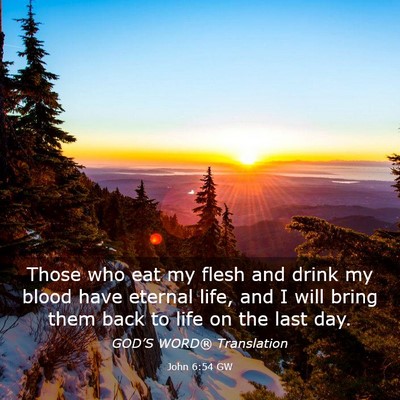 Picture 03 - John 6:54 GW - Those who eat my flesh and drink my blood have - Bible Verse Picture