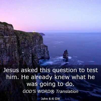 Picture 03 - John 6:6 GW - Jesus asked this question to test him. He already - Bible Verse Picture