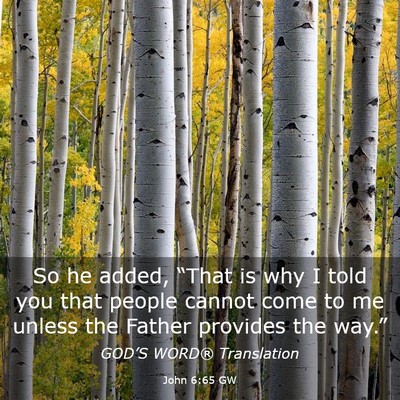 Picture 03 - John 6:65 GW - So he added, “That is why I told you that - Bible Verse Picture