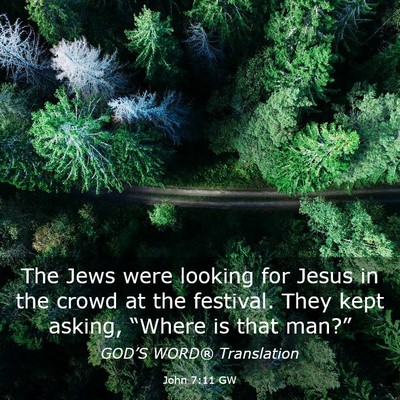 Picture 03 - John 7:11 GW - The Jews were looking for Jesus in the crowd at - Bible Verse Picture