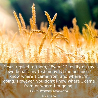 Picture 03 - John 8:14 GW - Jesus replied to them, “Even if I testify on my - Bible Verse Picture