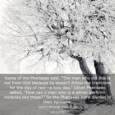 Picture 03 - John 9:16 GW - Some of the Pharisees said, “The man who did - Bible Verse Picture