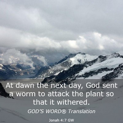 Picture 03 - Jonah 4:7 GW - At dawn the next day, God sent a worm to attack - Bible Verse Picture