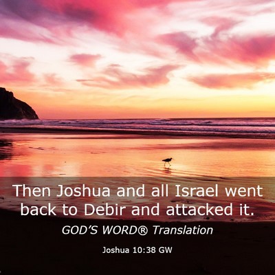 Picture 03 - Joshua 10:38 GW - Then Joshua and all Israel went back to Debir and - Bible Verse Picture