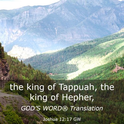 Picture 03 - Joshua 12:17 GW - the king of Tappuah, the king of - Bible Verse Picture