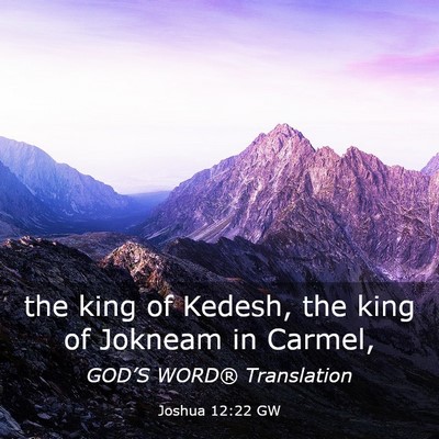 Picture 03 - Joshua 12:22 GW - the king of Kedesh, the king of Jokneam in - Bible Verse Picture