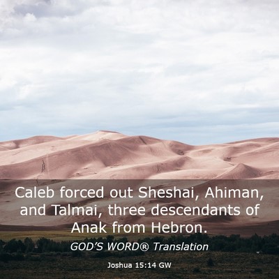 Picture 03 - Joshua 15:14 GW - Caleb forced out Sheshai, Ahiman, and Talmai, - Bible Verse Picture