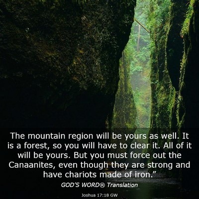 Picture 03 - Joshua 17:18 GW - The mountain region will be yours as well. It is - Bible Verse Picture