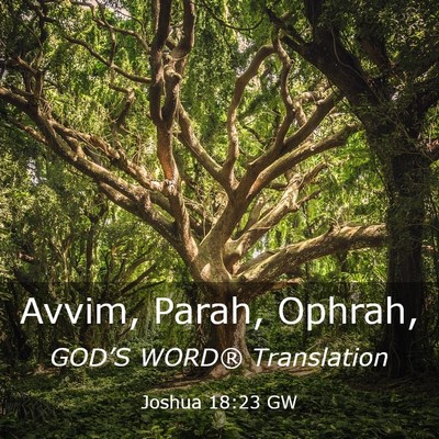 Picture 03 - Joshua 18:23 GW - Avvim, Parah, - Bible Verse Picture