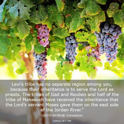 Picture 03 - Joshua 18:7 GW - Levi’s tribe has no separate region among you, - Bible Verse Picture