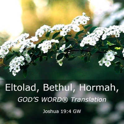 Picture 03 - Joshua 19:4 GW - Eltolad, Bethul, - Bible Verse Picture