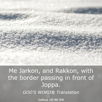 Picture 03 - Joshua 19:46 GW - Me Jarkon, and Rakkon, with the border passing in - Bible Verse Picture