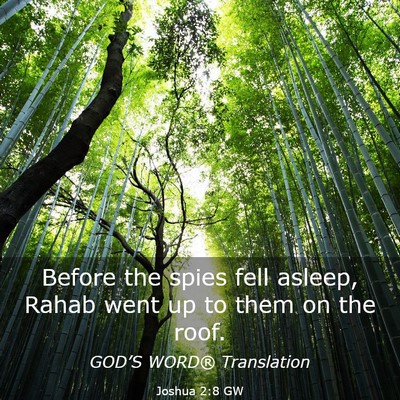Picture 03 - Joshua 2:8 GW - Before the spies fell asleep, Rahab went up to - Bible Verse Picture