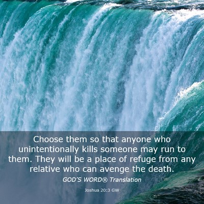 Picture 03 - Joshua 20:3 GW - Choose them so that anyone who unintentionally - Bible Verse Picture