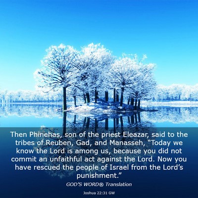 Picture 03 - Joshua 22:31 GW - Then Phinehas, son of the priest Eleazar, said to - Bible Verse Picture