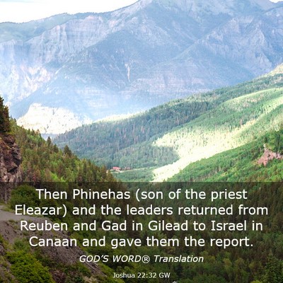 Picture 03 - Joshua 22:32 GW - Then Phinehas (son of the priest Eleazar) and the - Bible Verse Picture