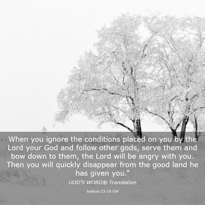 Picture 03 - Joshua 23:16 GW - When you ignore the conditions placed on you by - Bible Verse Picture