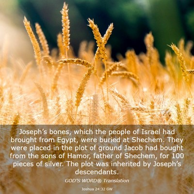 Picture 03 - Joshua 24:32 GW - Joseph’s bones, which the people of Israel had - Bible Verse Picture