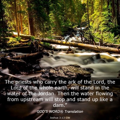 Picture 03 - Joshua 3:13 GW - The priests who carry the ark of the Lord, the - Bible Verse Picture