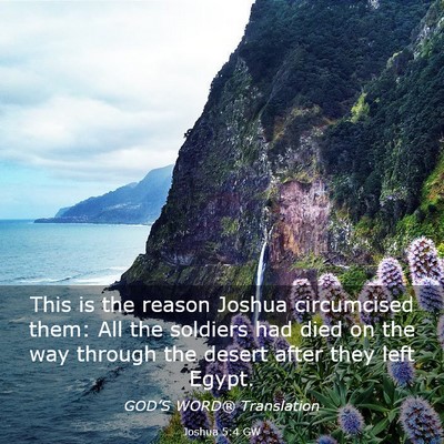 Picture 03 - Joshua 5:4 GW - This is the reason Joshua circumcised them: All - Bible Verse Picture