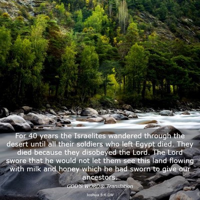Picture 03 - Joshua 5:6 GW - For 40 years the Israelites wandered through the - Bible Verse Picture