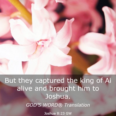 Picture 03 - Joshua 8:23 GW - But they captured the king of Ai alive and - Bible Verse Picture