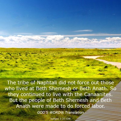 Picture 03 - Judges 1:33 GW - The tribe of Naphtali did not force out those who - Bible Verse Picture