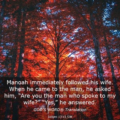 Picture 03 - Judges 13:11 GW - Manoah immediately followed his wife. When he - Bible Verse Picture