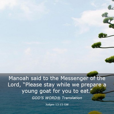 Picture 03 - Judges 13:15 GW - Manoah said to the Messenger of the Lord, - Bible Verse Picture