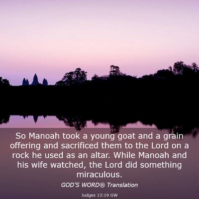 Picture 03 - Judges 13:19 GW - So Manoah took a young goat and a grain offering - Bible Verse Picture