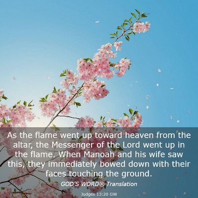 Picture 03 - Judges 13:20 GW - As the flame went up toward heaven from the - Bible Verse Picture