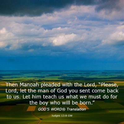 Picture 03 - Judges 13:8 GW - Then Manoah pleaded with the Lord, “Please, - Bible Verse Picture