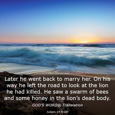 Picture 03 - Judges 14:8 GW - Later he went back to marry her. On his way he - Bible Verse Picture