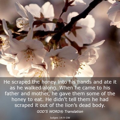 Picture 03 - Judges 14:9 GW - He scraped the honey into his hands and ate it as - Bible Verse Picture