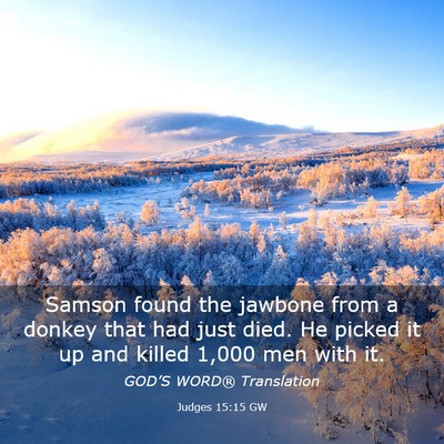 Picture 03 - Judges 15:15 GW - Samson found the jawbone from a donkey that had - Bible Verse Picture