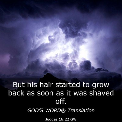 Picture 03 - Judges 16:22 GW - But his hair started to grow back as soon as it - Bible Verse Picture