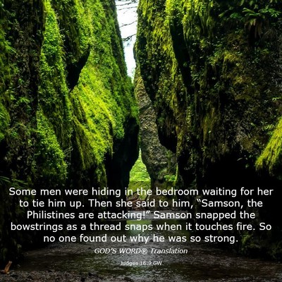 Picture 03 - Judges 16:9 GW - Some men were hiding in the bedroom waiting for - Bible Verse Picture