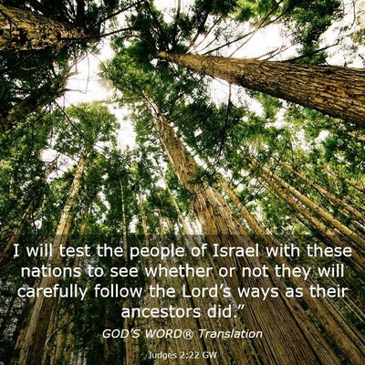 Picture 03 - Judges 2:22 GW - I will test the people of Israel with these - Bible Verse Picture